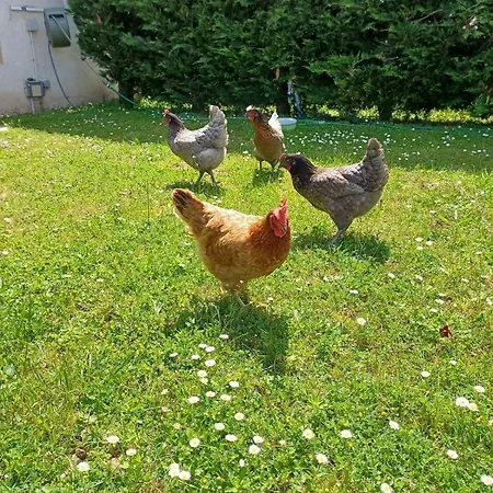Casa vacanze 6 Personnes Proche Du Parc D'attraction Monétay-sur-Loire